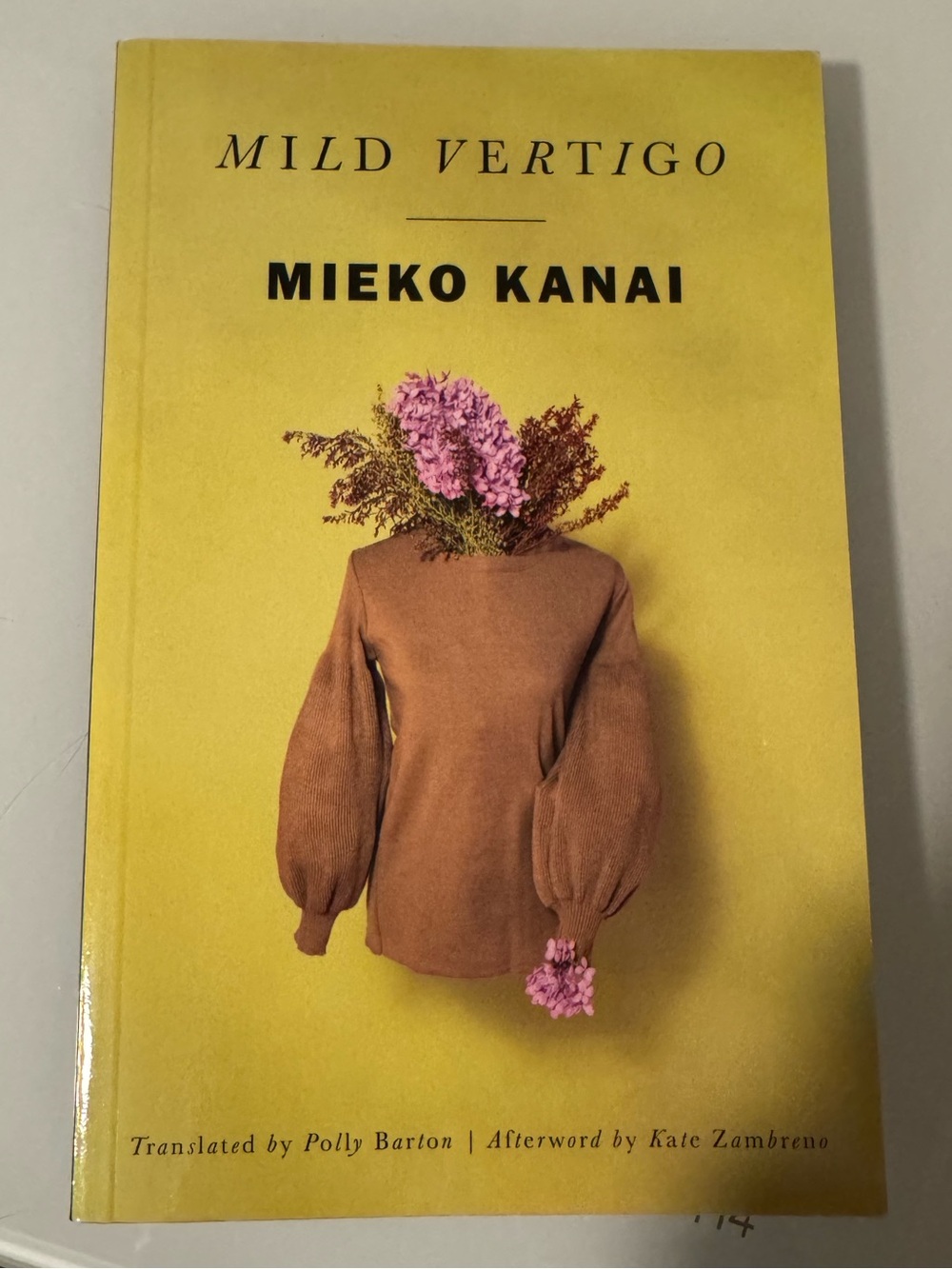 Mild Vertigo by Meiko Kanai